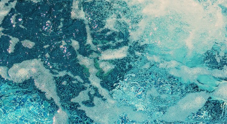 pexels dmitriy zub 6546230 730x400